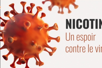 La nicotine pourrait-elle protéger du virus Covid-19 ?