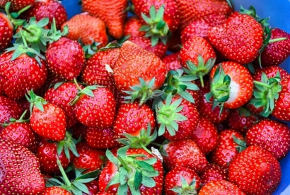 ÉTUDE : L’ARÔME FRAISE AIDE AU SEVRAGE TABAGIQUE