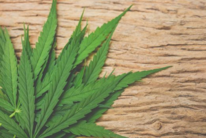 Mexique : le futur plus grand marché du cannabis ?