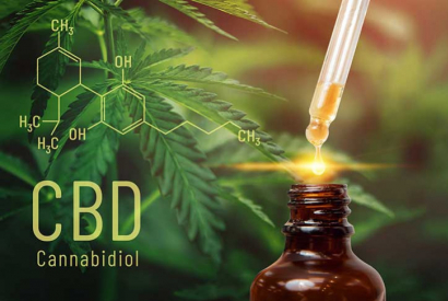 QUEL EST LE MEILLEUR DOSAGE DU CBD ?