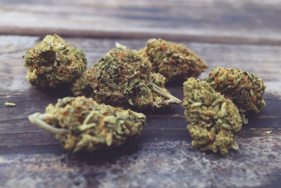 Pourquoi nos taux de CBD sont inférieur à 10%