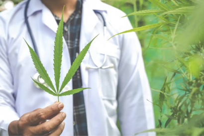 Le CBD contre l’endométriose