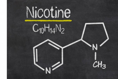 Tout savoir sur la nicotine