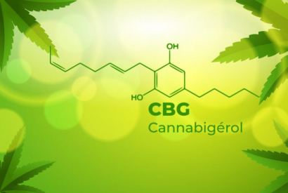 CBG comme Cannabigérol : Un cannabinoïde peut en cacher un autre…