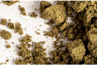 3 choses à savoir sur la résine de CBD 