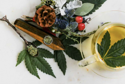 Qui peut boire une infusion CBD ?