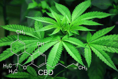 Nouvelle législation pour le CBD en France en 2023