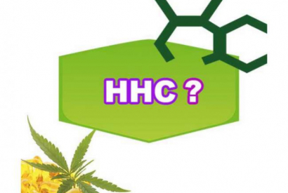 Le HHC, un dérivé du cannabis vendu légalement partout en France.
