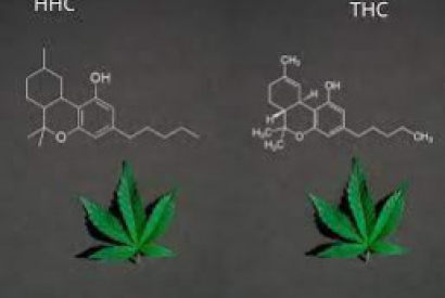 C'est quoi le HHC, ce cannabis de synthèse autorisé en France ?