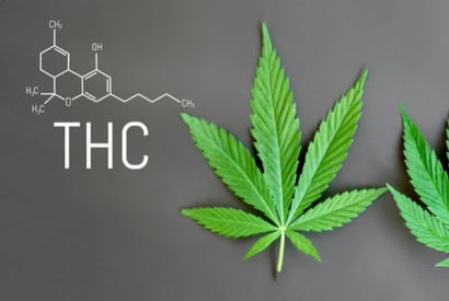 DIFFÉRENCES ENTRE CBD ET THC : COMMENT LES DISTINGUER ?